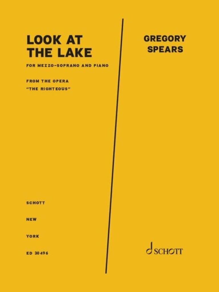 Look at the lake